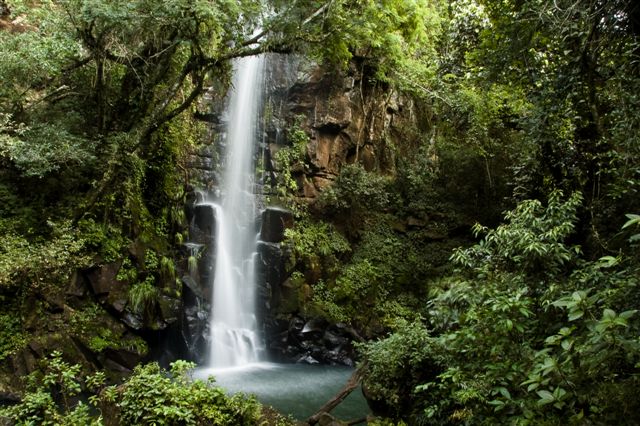 south_america_x47_125